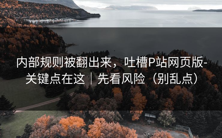 内部规则被翻出来，吐槽P站网页版-关键点在这｜先看风险（别乱点）