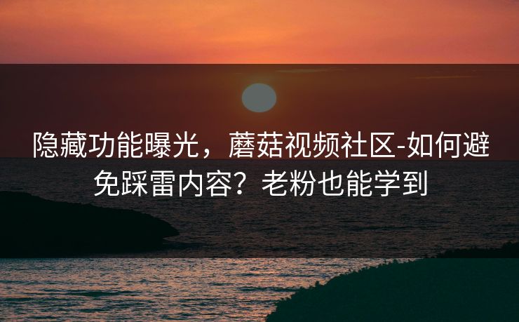 隐藏功能曝光，蘑菇视频社区-如何避免踩雷内容？老粉也能学到