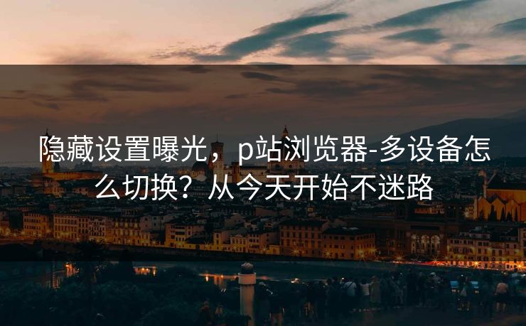 隐藏设置曝光，p站浏览器-多设备怎么切换？从今天开始不迷路