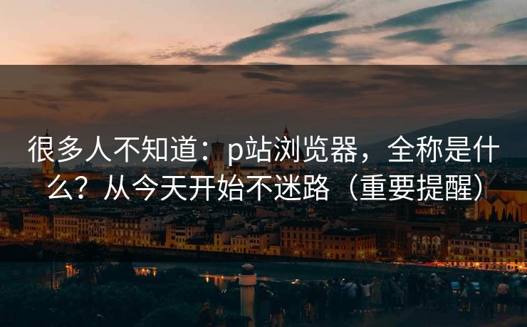 很多人不知道：p站浏览器，全称是什么？从今天开始不迷路（重要提醒）