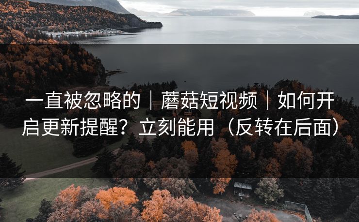 一直被忽略的｜蘑菇短视频｜如何开启更新提醒？立刻能用（反转在后面）