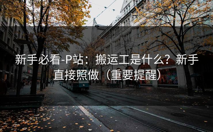 新手必看-P站：搬运工是什么？新手直接照做（重要提醒）