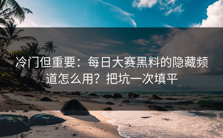 冷门但重要：每日大赛黑料的隐藏频道怎么用？把坑一次填平