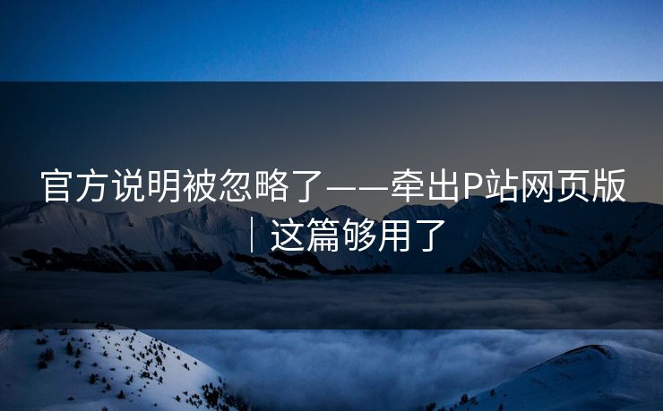 官方说明被忽略了——牵出P站网页版｜这篇够用了