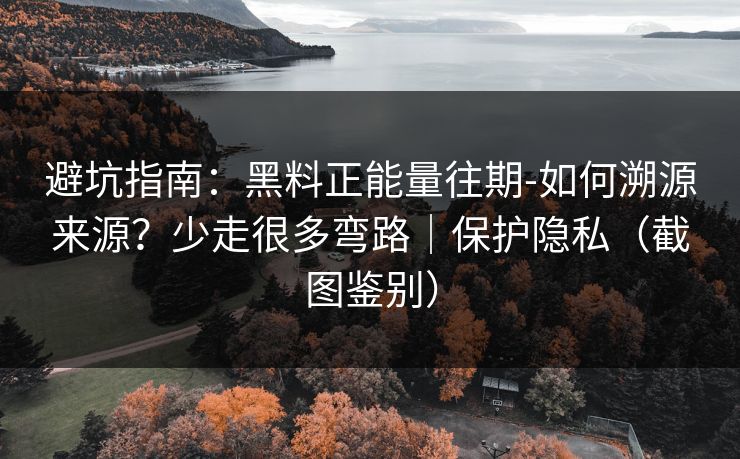 避坑指南：黑料正能量往期-如何溯源来源？少走很多弯路｜保护隐私（截图鉴别）