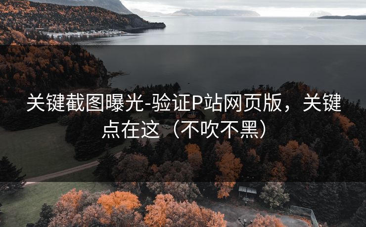 关键截图曝光-验证P站网页版，关键点在这（不吹不黑）