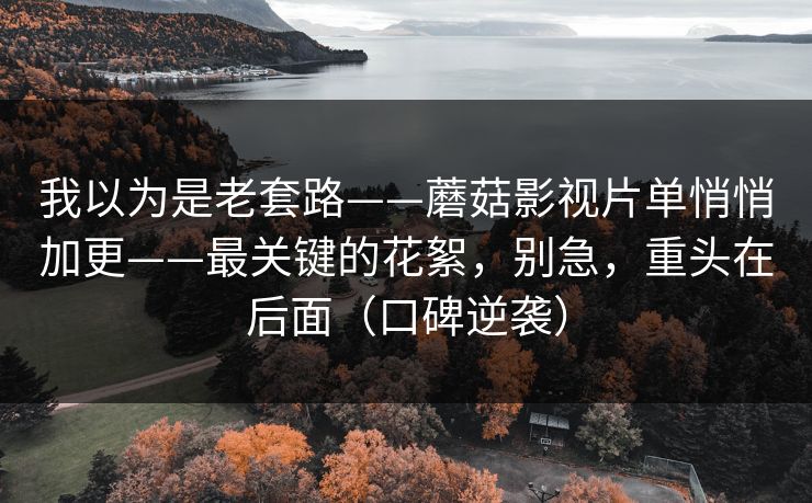 我以为是老套路——蘑菇影视片单悄悄加更——最关键的花絮，别急，重头在后面（口碑逆袭）