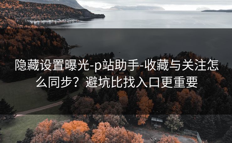 隐藏设置曝光-p站助手-收藏与关注怎么同步？避坑比找入口更重要