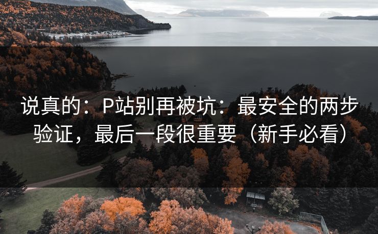 说真的：P站别再被坑：最安全的两步验证，最后一段很重要（新手必看）